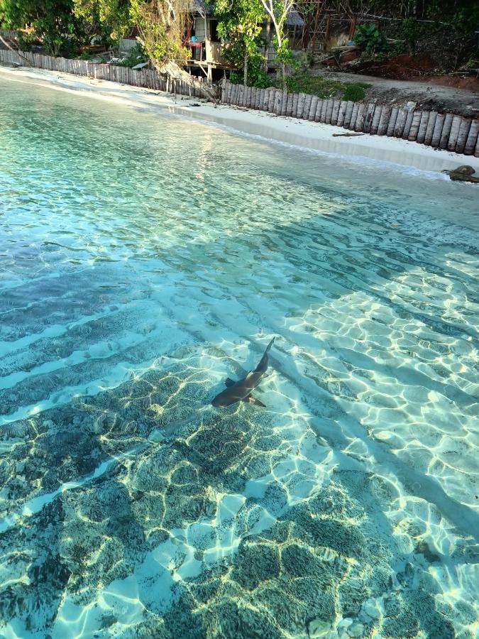 Warahnus Dive Homestay Kri Exterior foto